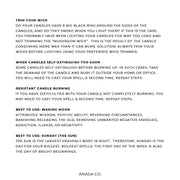 ANASA CO. PROTECTION SOY CANDLE